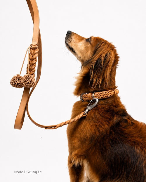 Dog leash Woven leather