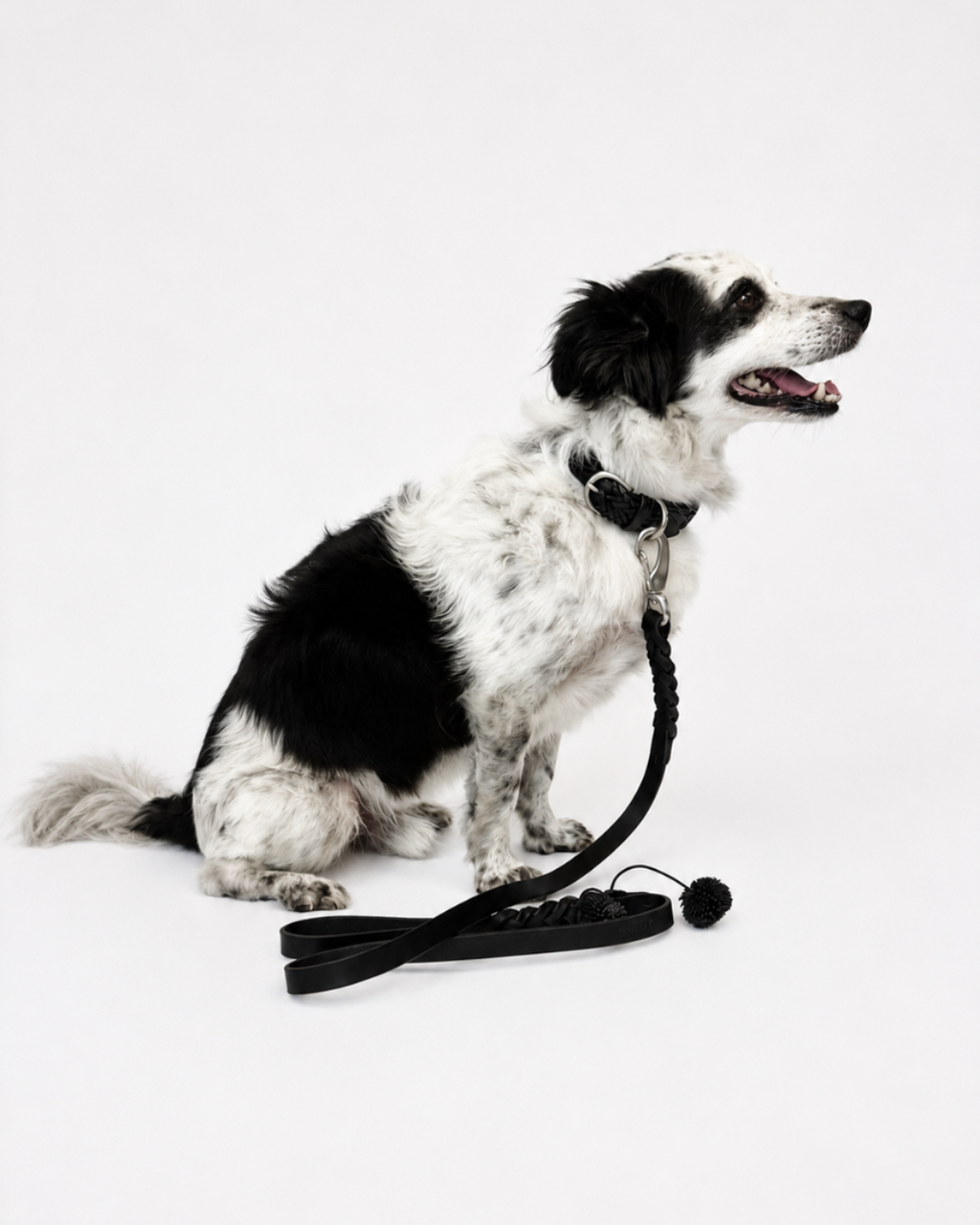 Dog collar Woven leather