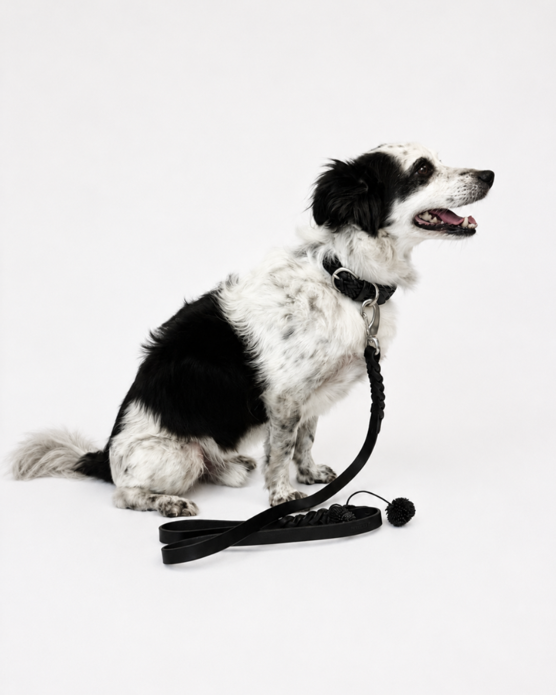 Dog collar Woven leather