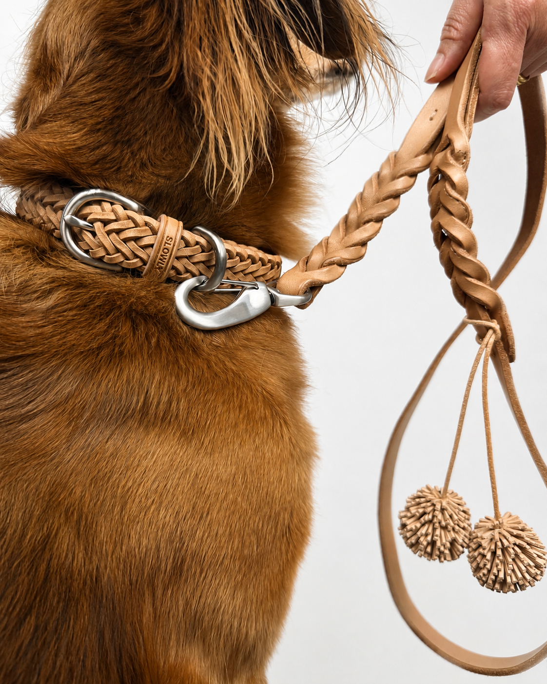 Dog collar Woven leather