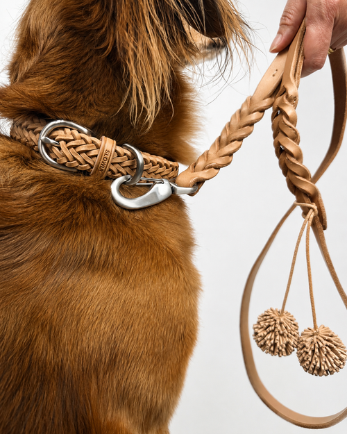 Dog collar Woven leather