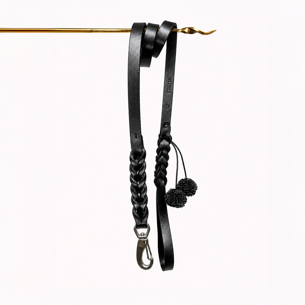 Dog leash Woven leather
