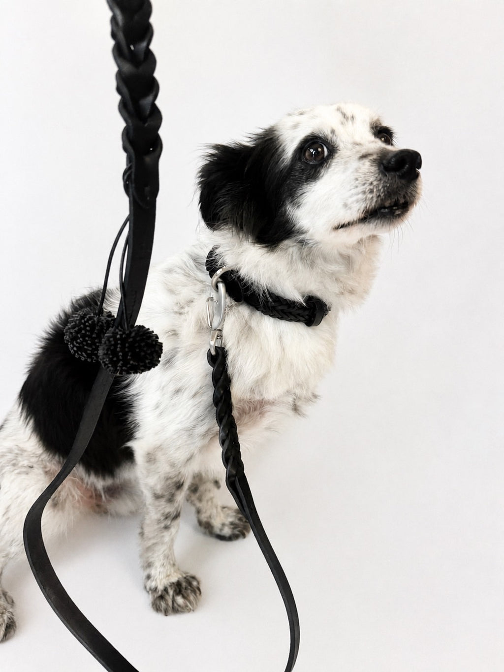 Dog leash Woven leather